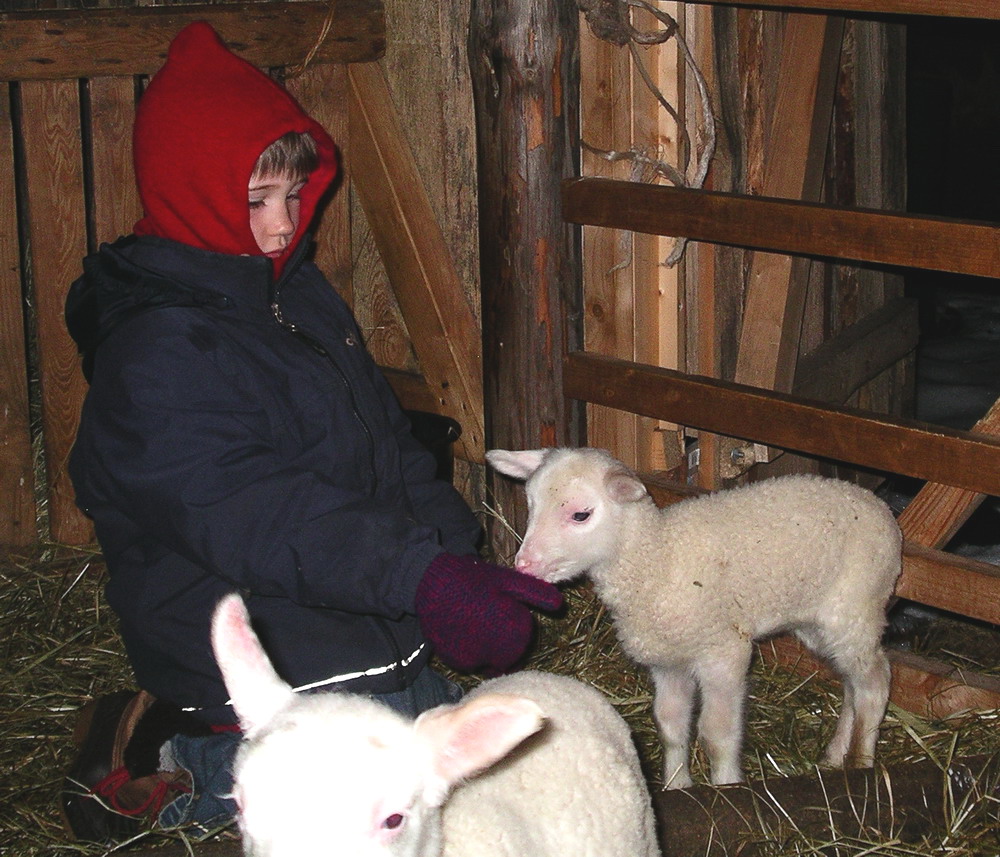 Kind und Lamm